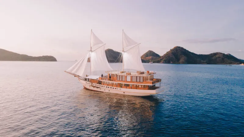 Elbark Cruises