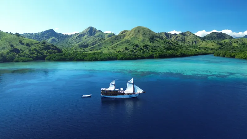 Vinca Voyages