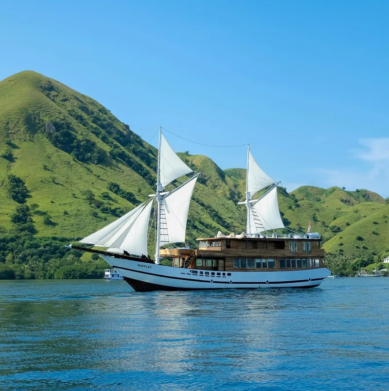 Raffles Cruise