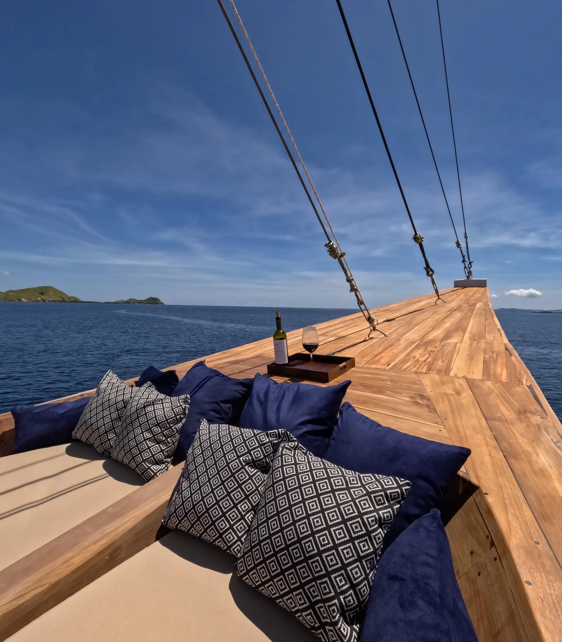 Raffles Cruise photo 2